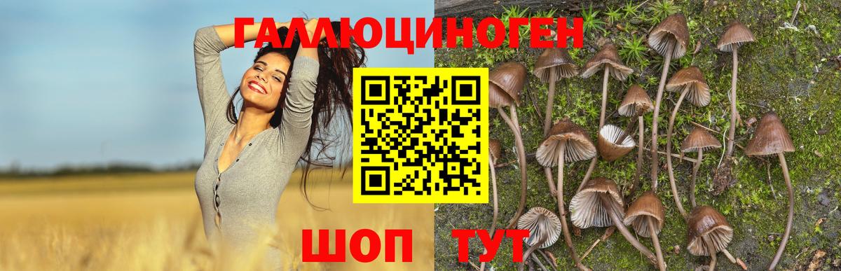 Галлюциногенные грибы Magic Shrooms  Вход с VPN  Ессентуки 
